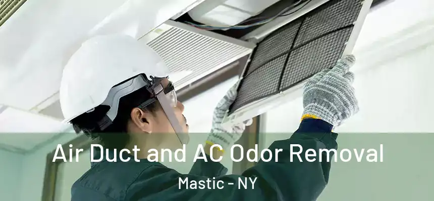  Air Duct and AC Odor Removal Mastic - NY