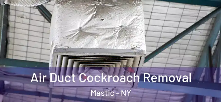  Air Duct Cockroach Removal Mastic - NY