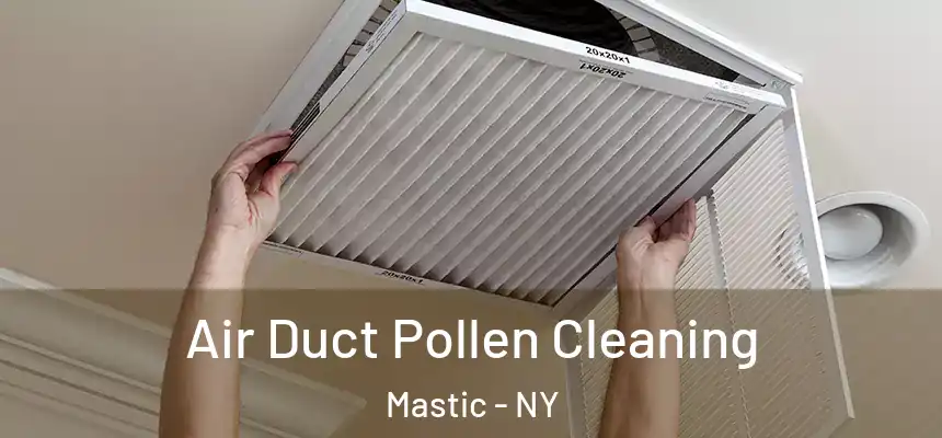  Air Duct Pollen Cleaning Mastic - NY