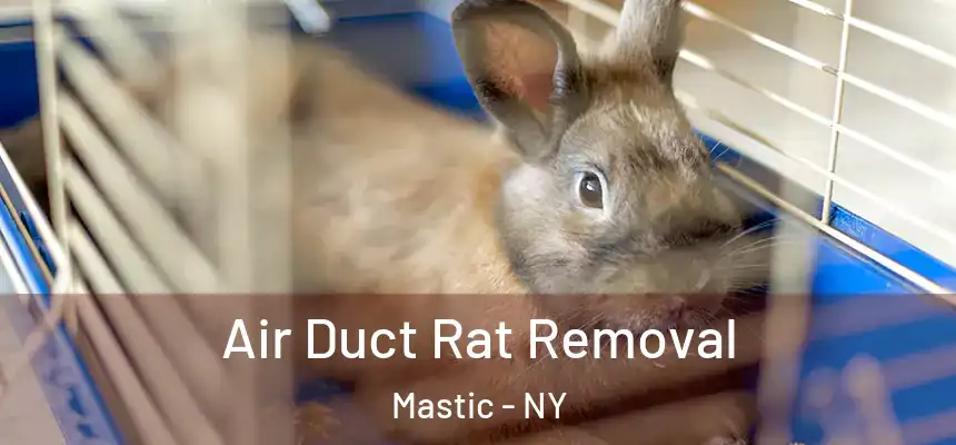  Air Duct Rat Removal Mastic - NY
