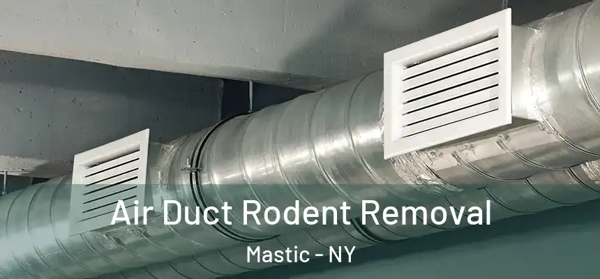  Air Duct Rodent Removal Mastic - NY
