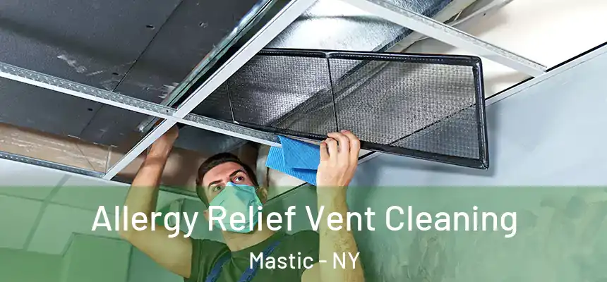  Allergy Relief Vent Cleaning Mastic - NY