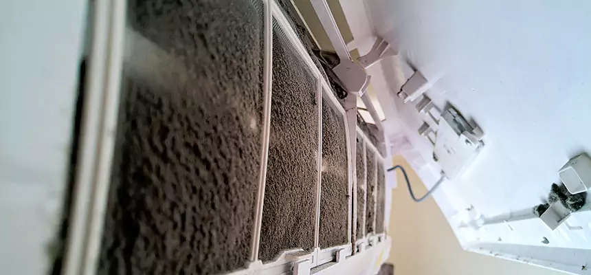 Preventive Air Duct Bacteria Removal in Mastic