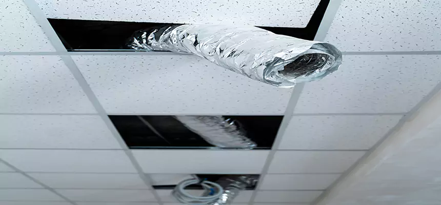 Affordable HVAC Sanitizing After Pest Removal in Mastic