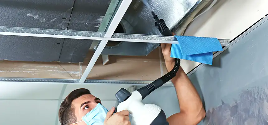 Our Air Duct Rodent Removal Services in Mastic, NY