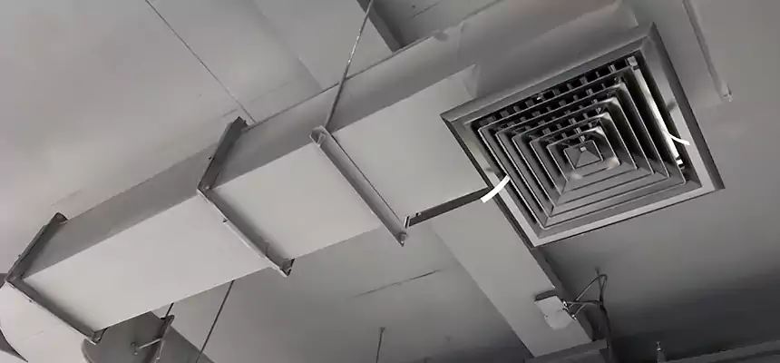 Restorative Allergy Relief Vent Cleaning – Coil, Blower & Housing Detail in Mastic