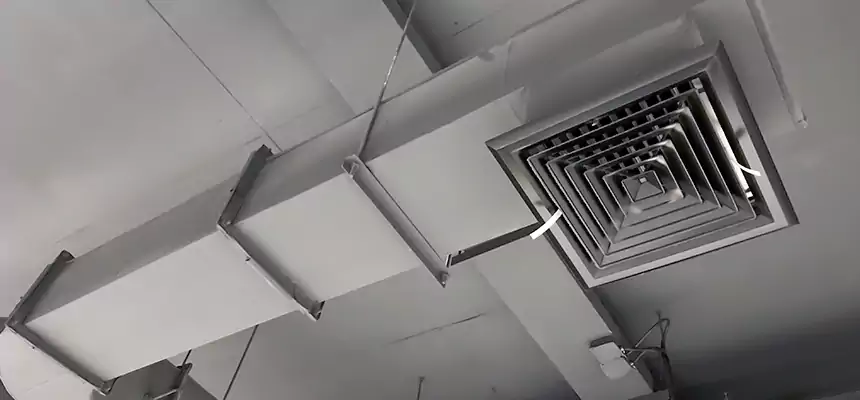 Our Pest Removal From Ducts Services in Mastic, NY