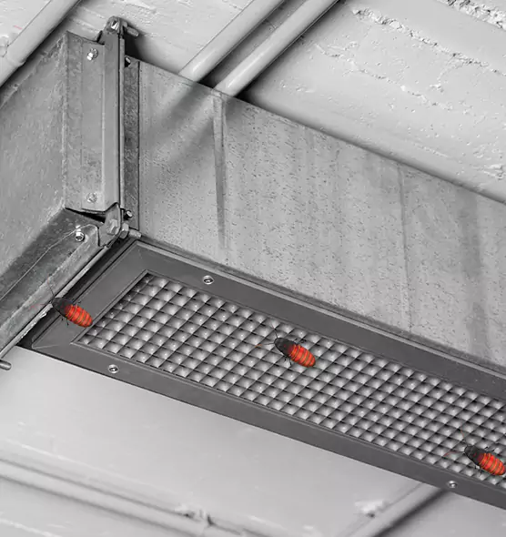 About Air Duct Cockroach Removal in Mastic, NY