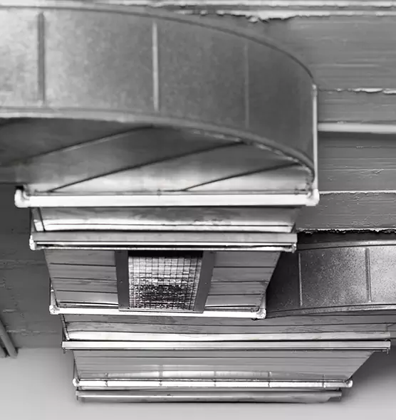 Professional Air Duct Pest Removal in Mastic, NY