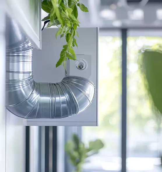 Professional Eco-Safe Dryer Vent Cleaning in Mastic, NY