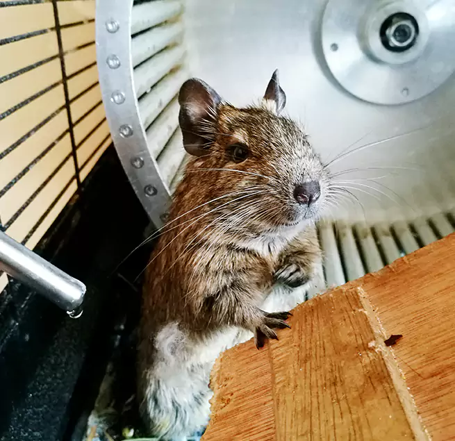 Why Homeowners & Businesses Trust Us Mastic, NY?