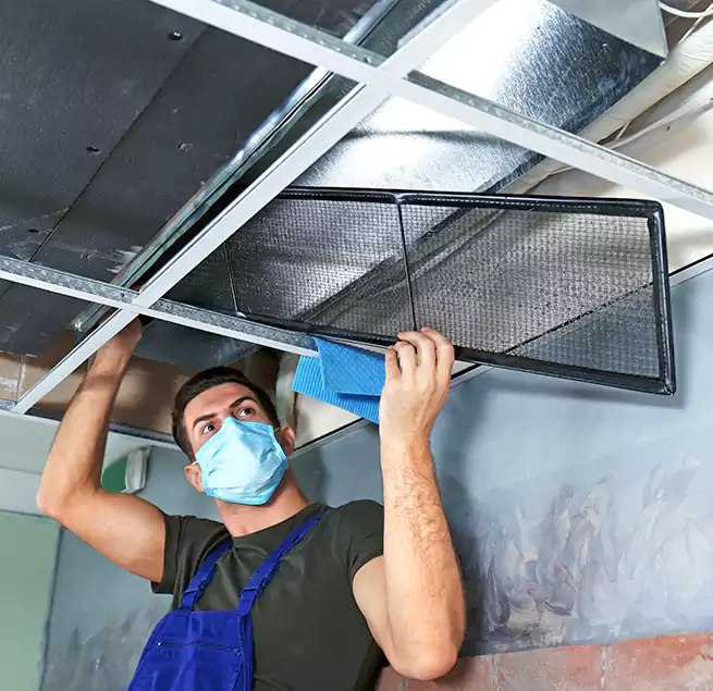 Why Homeowners Businesses Trust Us in Mastic, NY