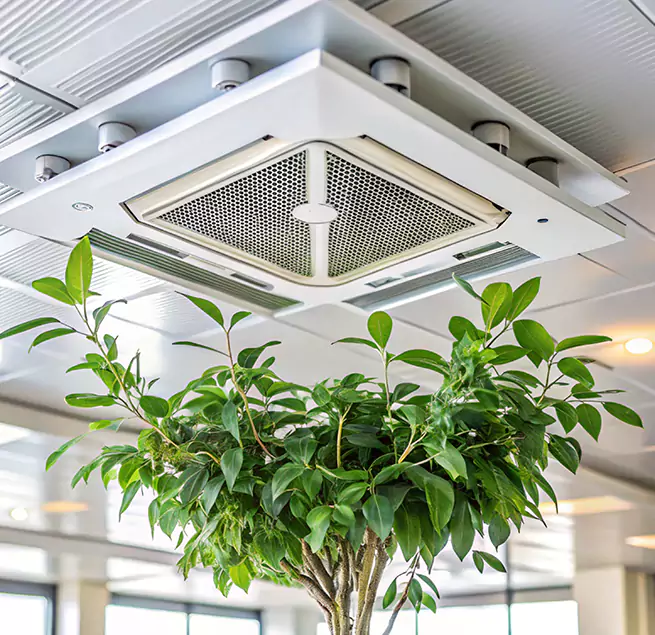 Why Homeowners & Businesses Trust Us in Mastic, NY