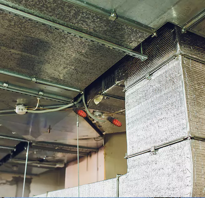 Why Homeowners & Businesses Trust Us Mastic, NY?