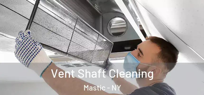  Vent Shaft Cleaning Mastic - NY