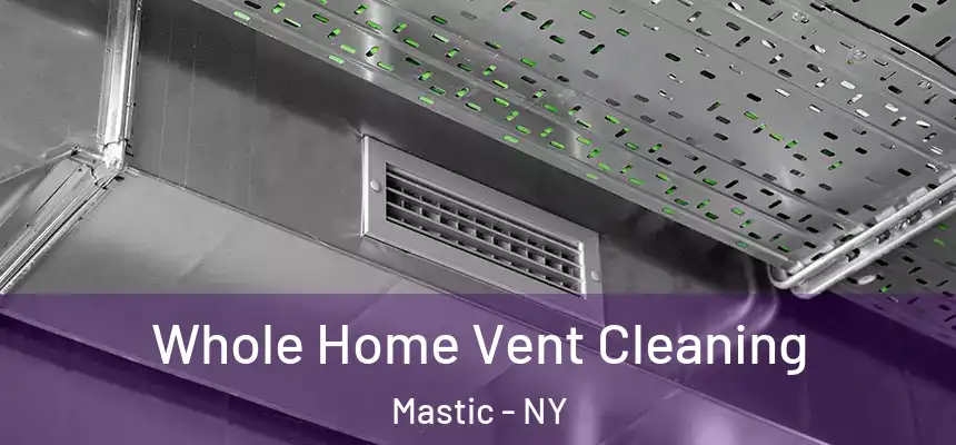  Whole Home Vent Cleaning Mastic - NY